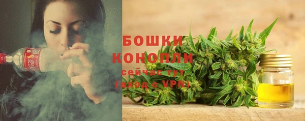 круглые Вяземский