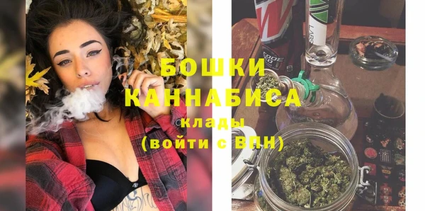 круглые Вяземский