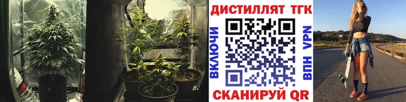 ТГК Wax Энем