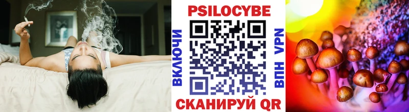 что такое наркотик Энем Псилоцибиновые грибы Psilocybe